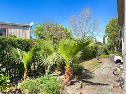 8169 Willow St, Windsor, CA 95492 photo 21