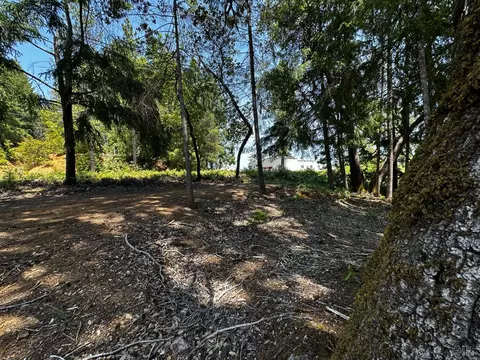 25895 Madrone Dr, Willits, CA 95490 photo 5