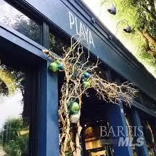 30 Walnut Ave, Mill Valley, CA 94941 photo 7
