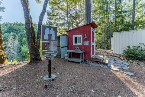 Exterior - 3770 Cherry Creek Rd, Willits, CA 95490 photo 4 of 16