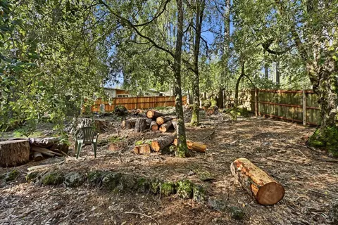 Exterior - 10313 Brookside Dr, Middletown, CA 95461 photo 4 of 6