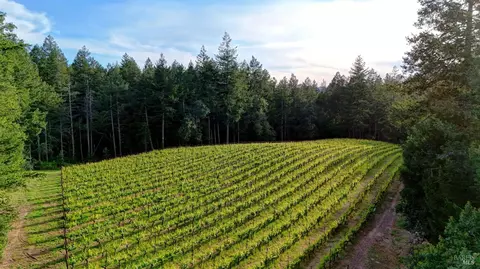 Other - 425 Cold Springs Rd, Angwin, CA 94508 photo 3 of 15