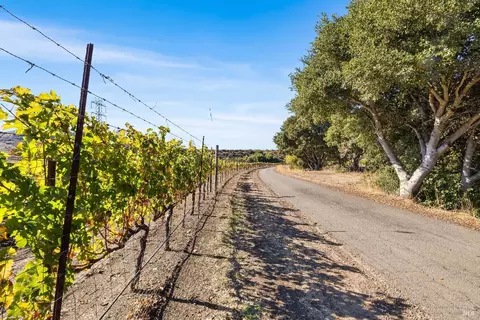 Exterior - 2000 Mcgary Rd, Vallejo, CA 94591 photo 6 of 8