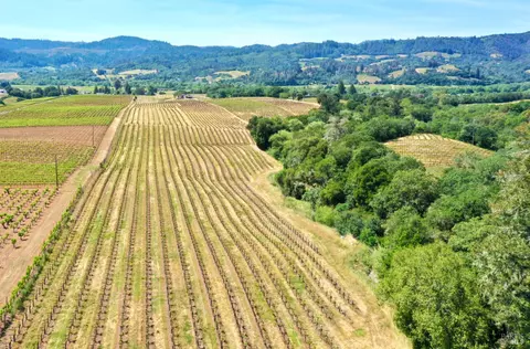 Other - 5143 Dry Creek Rd, Healdsburg, CA 95448 photo 42 of 49