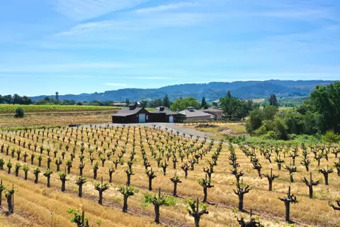 Other - 5143 Dry Creek Rd, Healdsburg, CA 95448 photo 46 of 49
