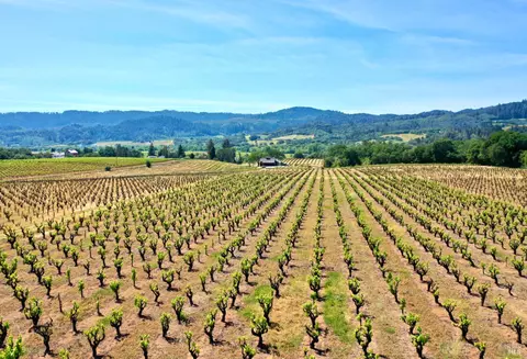 Other - 5143 Dry Creek Rd, Healdsburg, CA 95448 photo 44 of 49
