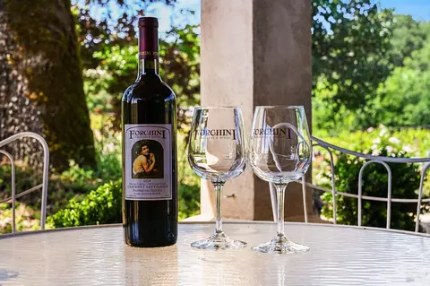 Exterior - 5143 Dry Creek Rd, Healdsburg, CA 95448 photo 5 of 17
