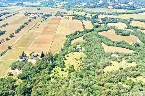 View/Area - 5143 Dry Creek Rd, Healdsburg, CA 95448 photo 4 of 9