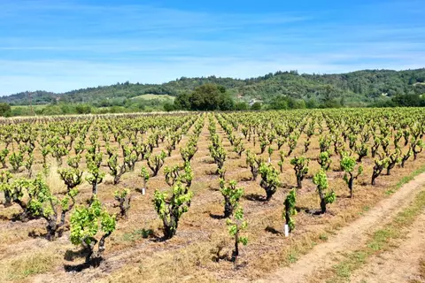 Other - 5143 Dry Creek Rd, Healdsburg, CA 95448 photo 37 of 49