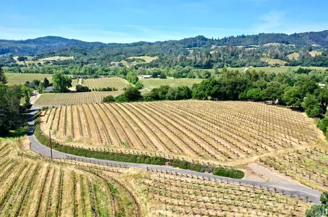 Other - 5143 Dry Creek Rd, Healdsburg, CA 95448 photo 4 of 49