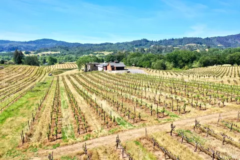 Other - 5143 Dry Creek Rd, Healdsburg, CA 95448 photo 31 of 49
