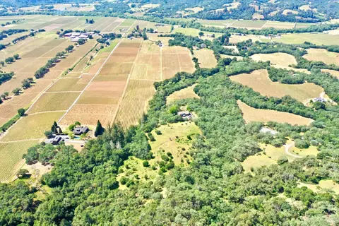 View/Area - 5143 Dry Creek Rd, Healdsburg, CA 95448 photo 8 of 9