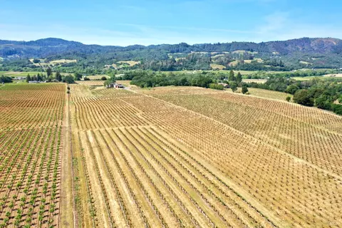 Other - 5143 Dry Creek Rd, Healdsburg, CA 95448 photo 34 of 49