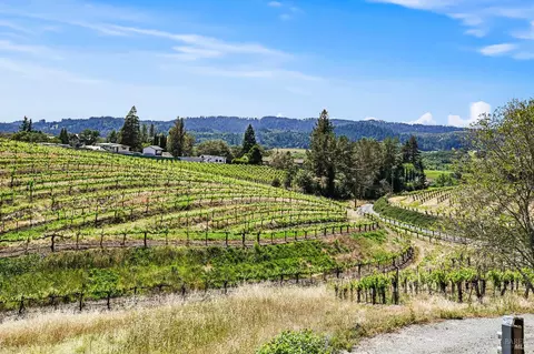 Other - 5143 Dry Creek Rd, Healdsburg, CA 95448 photo 25 of 49