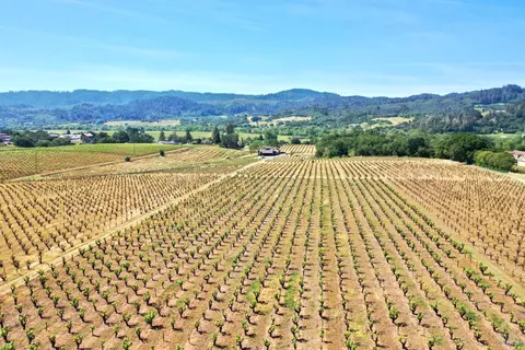 Other - 5143 Dry Creek Rd, Healdsburg, CA 95448 photo 36 of 49