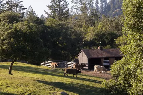 Exterior - 17400 Taylor Ln, Occidental, CA 95465 photo 4 of 17
