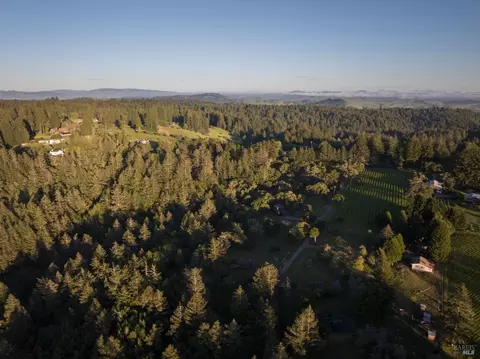View/Area - 17400 Taylor Ln, Occidental, CA 95465 photo 2 of 3