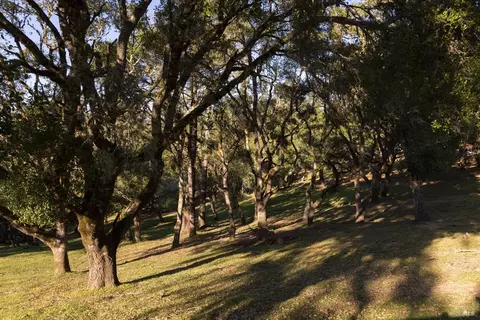 Exterior - 17400 Taylor Ln, Occidental, CA 95465 photo 15 of 17