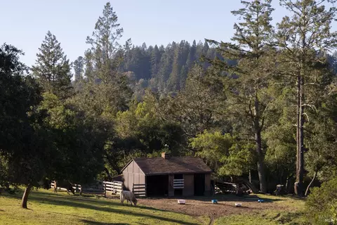 Exterior - 17400 Taylor Ln, Occidental, CA 95465 photo 11 of 17