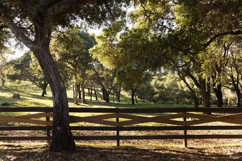 Other - 17400 Taylor Ln, Occidental, CA 95465 photo 8 of 11