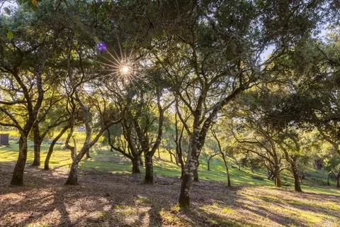 Other - 17400 Taylor Ln, Occidental, CA 95465 photo 9 of 11