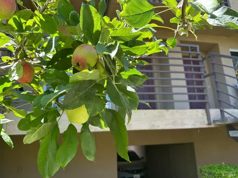 Exterior - 1152 Pear Tree Ln, Napa, CA 94558 photo 6 of 6