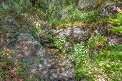 Other - 75 Lee St, Mill Valley, CA 94941 photo 27 of 34