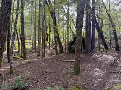 24908-24912 Clover Rd, Willits, CA 95490 photo 11