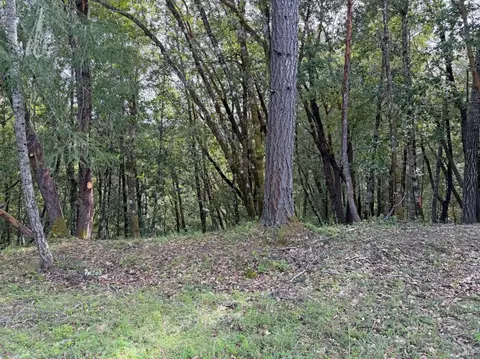 25380 Sherwood Rd, Willits, CA 95490