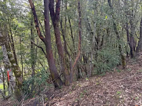 25380 Sherwood Rd, Willits, CA 95490 photo 3