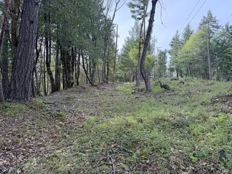 25380 Sherwood Rd, Willits, CA 95490 photo 6