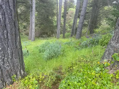 389 Ocean Pkwy, Bolinas, CA 94924