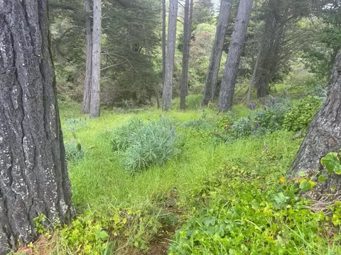 389 Ocean Pkwy, Bolinas, CA 94924