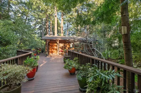 Exterior - 399 Marion Ave, Mill Valley, CA 94941 photo 8 of 8