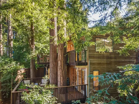 Other - 399 Marion Ave, Mill Valley, CA 94941 photo 5 of 5