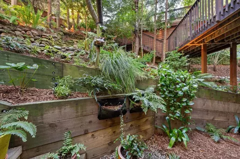 Exterior - 399 Marion Ave, Mill Valley, CA 94941 photo 6 of 8