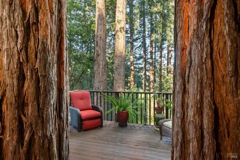 Exterior - 399 Marion Ave, Mill Valley, CA 94941 photo 5 of 8