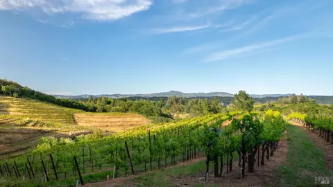 View/Area - 6355 Mountain View Ranch Rd, Healdsburg, CA 95448 photo 1 of 2