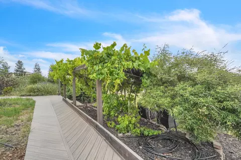 Exterior - 8304 Shadi Ln, Winters, CA 95694 photo 18 of 38