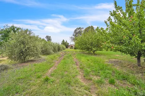 Exterior - 8304 Shadi Ln, Winters, CA 95694 photo 38 of 38