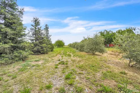 Other - 8304 Shadi Ln, Winters, CA 95694 photo 23 of 28