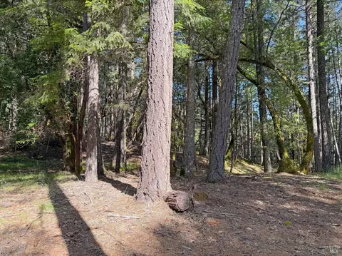 1666 Alcott Pl, Willits, CA 95490 photo 18
