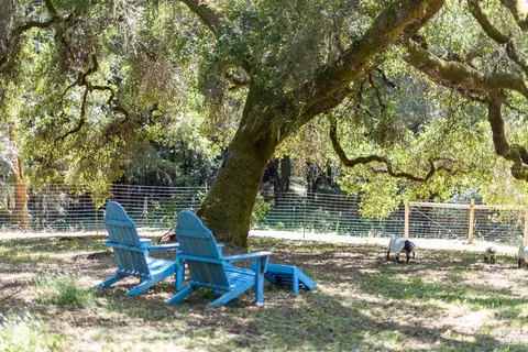 Exterior - 15555 Bittner Rd, Occidental, CA 95465 photo 19 of 23