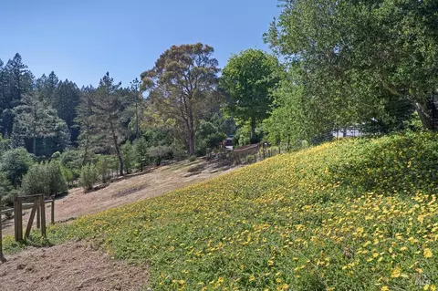 Exterior - 15555 Bittner Rd, Occidental, CA 95465 photo 18 of 23