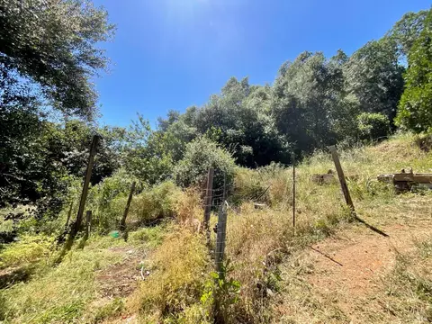 7282 Marin St, Nice, CA 95464 photo 24