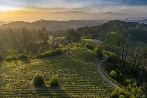 3801 Mount Veeder Road Rd, Napa, CA 94558