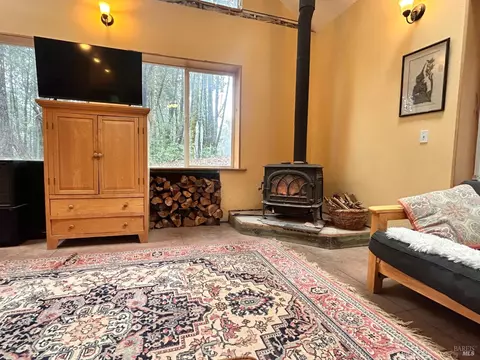 Living - 29281 Timberline Rd, Willits, CA 95490 photo 4 of 5