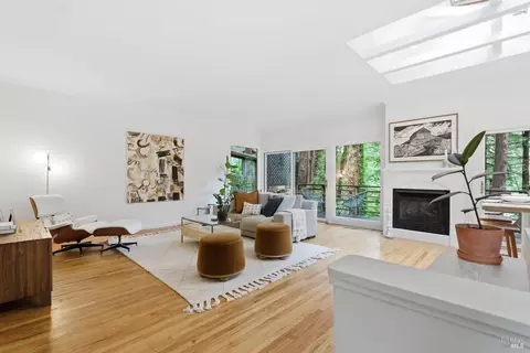 Living - 156 Florence Ave, Mill Valley, CA 94941 photo 3 of 3