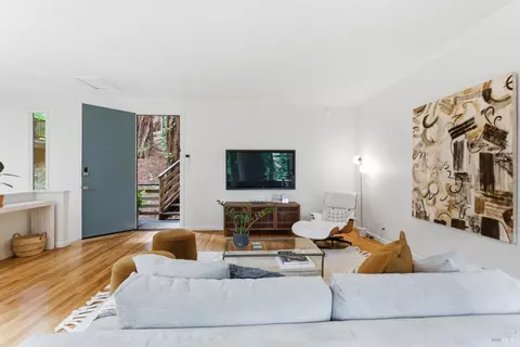 Other - 156 Florence Ave, Mill Valley, CA 94941 photo 4 of 10