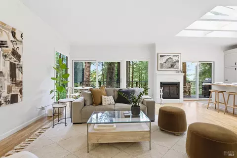 Living - 156 Florence Ave, Mill Valley, CA 94941 photo 2 of 3